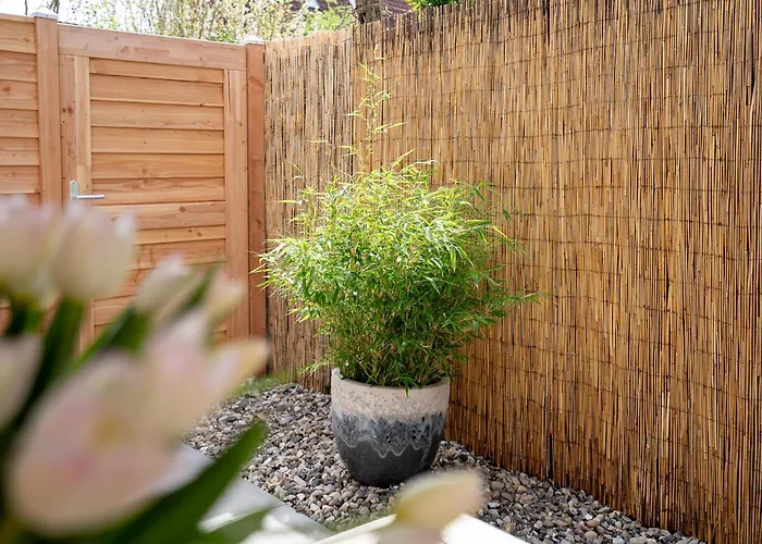 Kas13b Merlina's Apartment